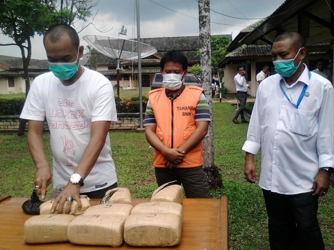 BNN Provinsi Jambi musnahkan ganja sebanyak 9 Kg milik tersangka Dedi.