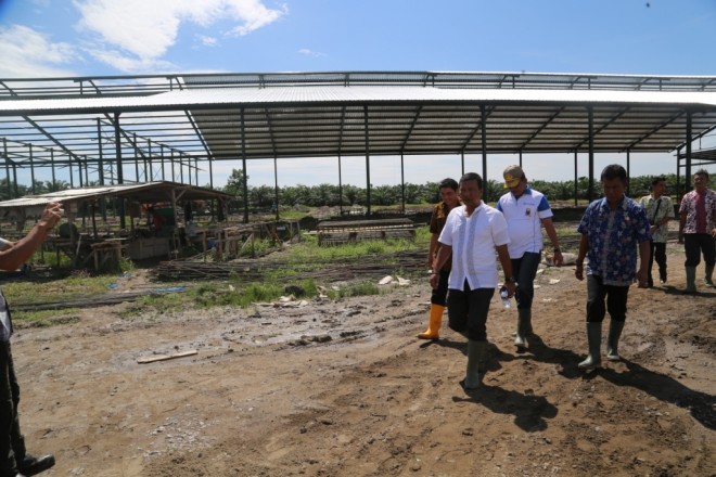 Bupati Tanjab Timur Romi Hariyanto bersama Asisten Pemerintahan dan Kesra dan Kepala SKPD meninjau salah satu perusahaan PMKS.