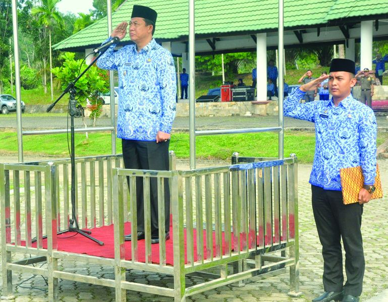 Wabup memimpin upacara