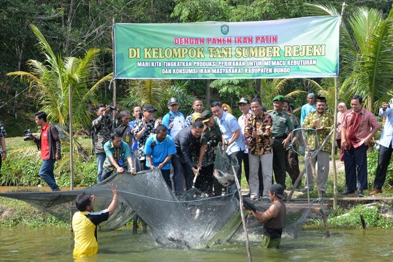 Gubernur bersama pejabat Bungo Panen Ikan Patin dan Lele di lokasi eks Penambangan Emas Tanpa Izin (PETI) di Desa Sungai Buluh Kecamatan Rimbo Tengah Kabupaten Bungo, Kamis (15/3/18).