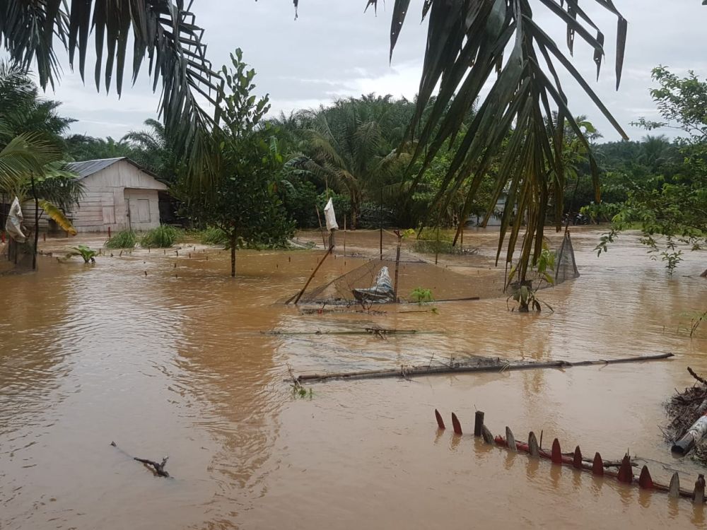 Banjir yang Terjadi di Kuala Tungkal