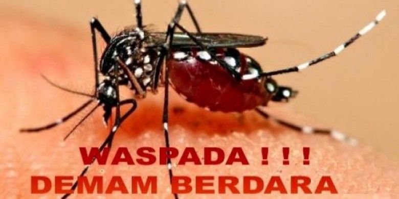 Waspada DBD Musim Hujan