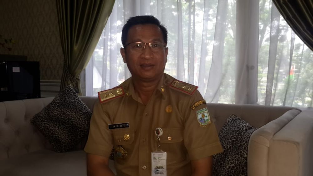 Ardi