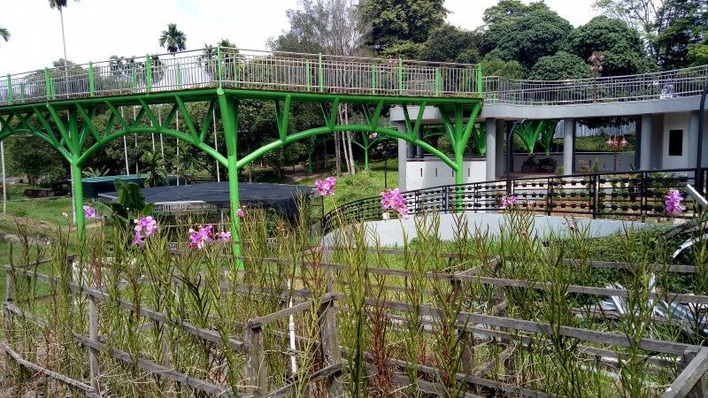 Taman Anggrek Depan Kantor Gubernur Jambi