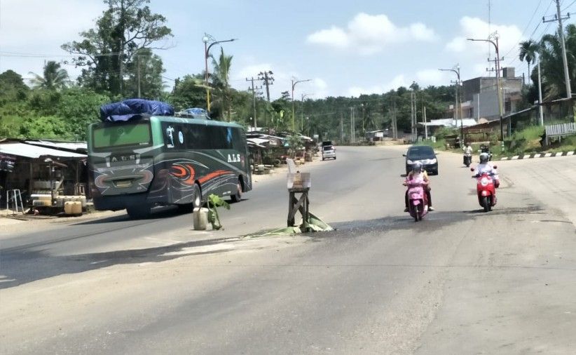 Warga tanami pohon pisang  di Jalan Lintas Sumatera, Bangko