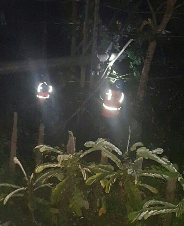 Tiang Listrik yang Patah Akibat Tertabrak Mobil di Perbatasan Desa Pengedaran dan Desa Ladang Panjang