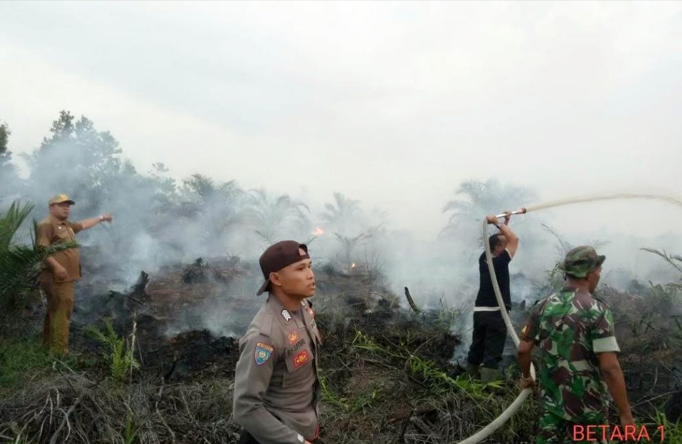 Karhutla Tahun 2018 di Kecamatan Betara, Kabupaten Tanjab Barat
