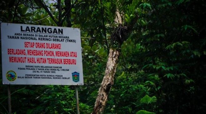 Taman Nasional Kerinci Seblat