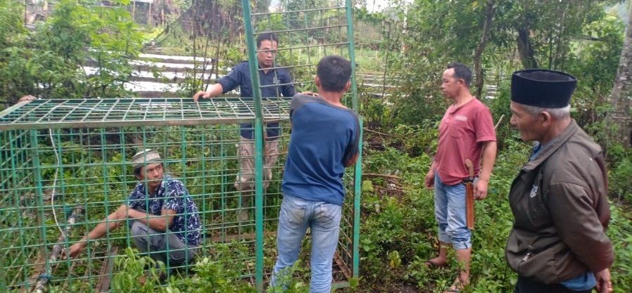 Perangkap Beruang yang di Pasang Oleh Warga