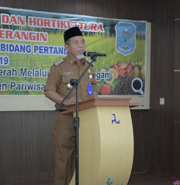 Wabup Merangin H Mashuri Ketika Menyampaikan Sambutan
