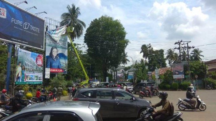 Salah satu pohon besar di salah satu kawasan di Kota Jambi