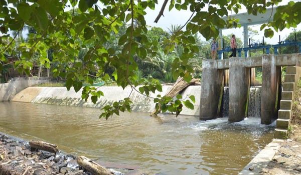 Salah satu irigasi di kawasan Tanjung Jabung Barat