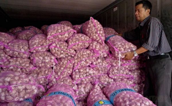 Bawang Putih