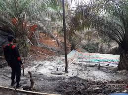 Lokasi illegal driling di Batanghari.
