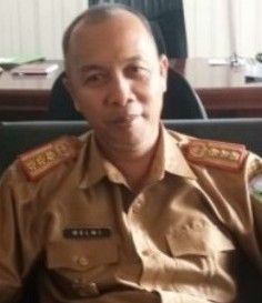 Helmi