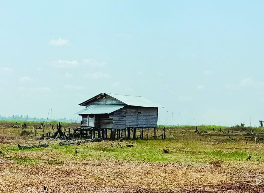 Lokasi lahan Tahura yang digarap oknum tak bertangungjawab.