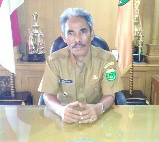 Wakil Bupati Tebo, Syahlan Arpan.