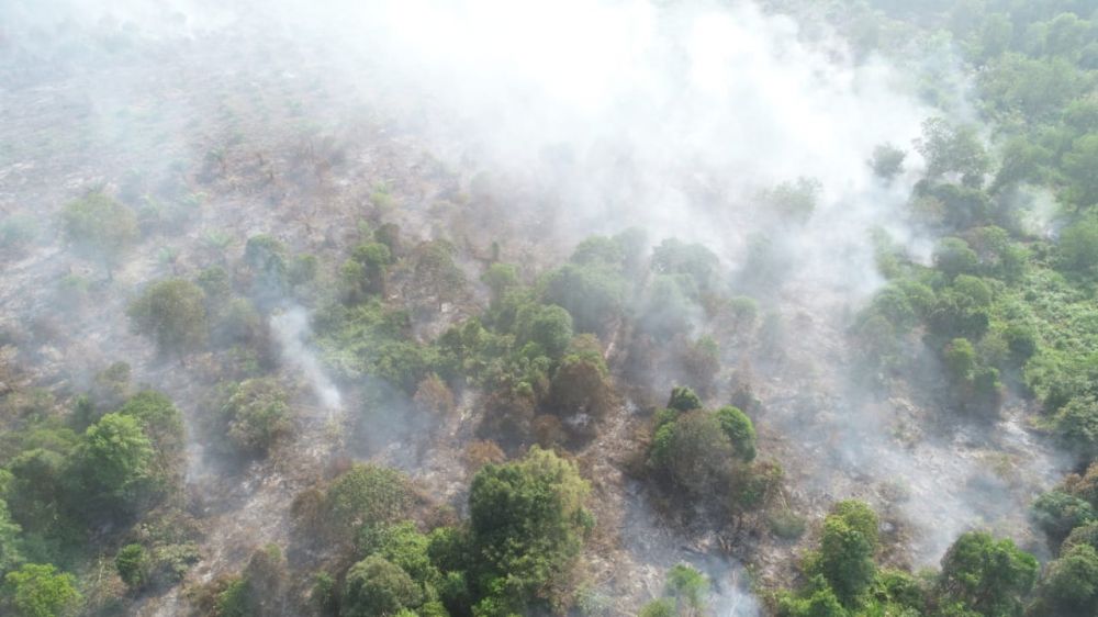 Lahan yang terbakar di Tanjabbarat.