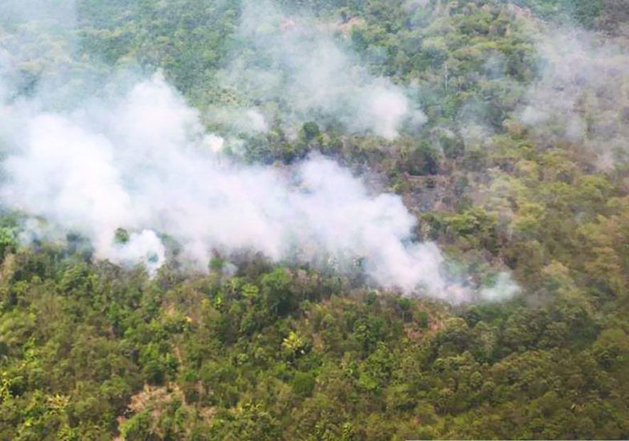 Lahan Tahura di Batanghari yang terbakar.