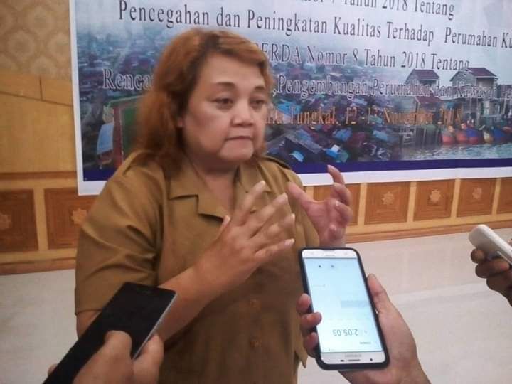 Kadis Perkim Tanjab Barat, Netty Martini.