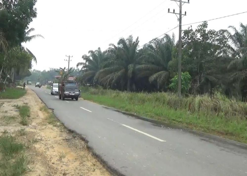 Jalan lintas Tungkal- Jambi.