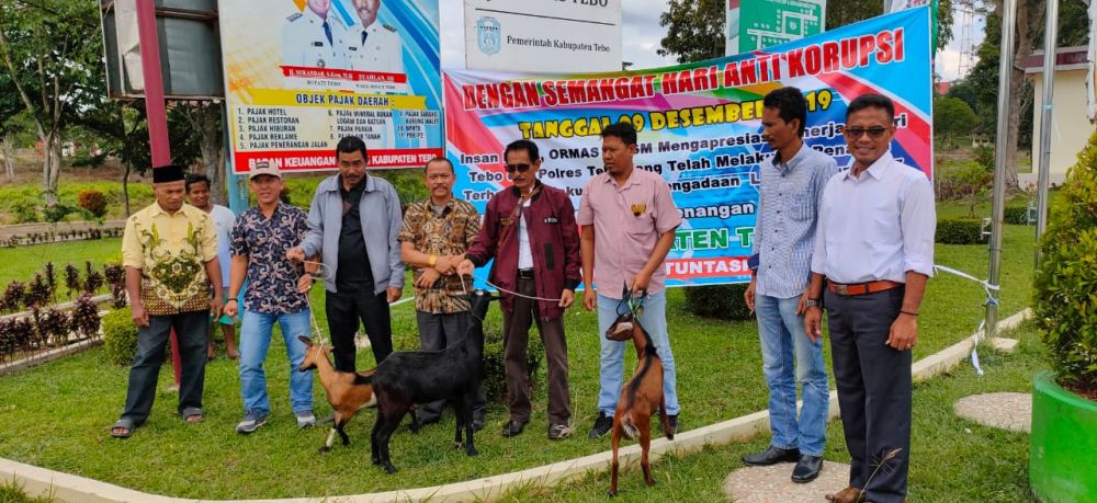 3 Ekor Kambing yang disembelih dalam rangka peringatan hari anti korupsi di Tebo