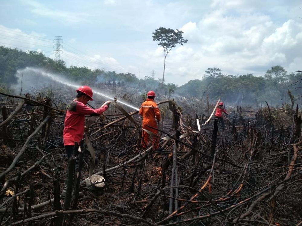 Lahan yang terbakar di Batanghari.