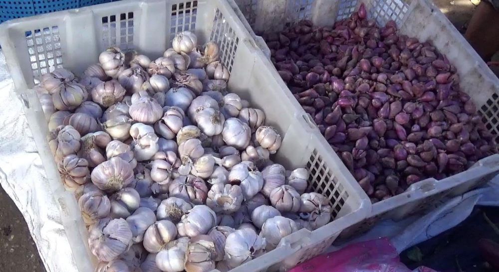 Harga Bawang Putih mengalami kenaikan di Batanghari.