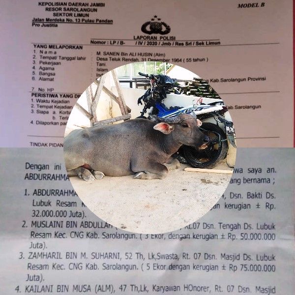 Daftar nama korban pencurian kerbau, bukti motor dan kerbau warga, serta laporan pelapor 