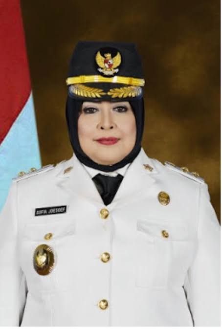 Wabup Batanghari  HJ Sofia Fattah 