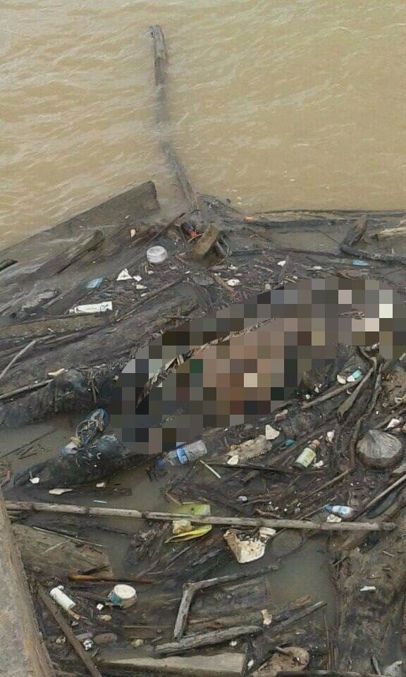 Mr X mengapung di Desa Niaso Muarojambi