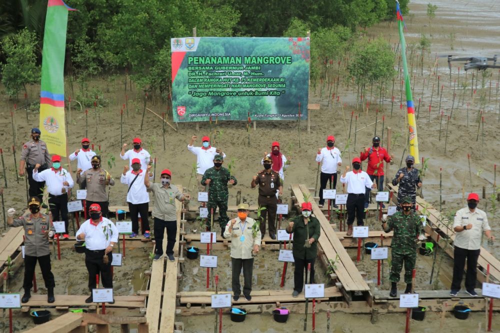 Hari Magrove Sedunia di Tanjabbarat