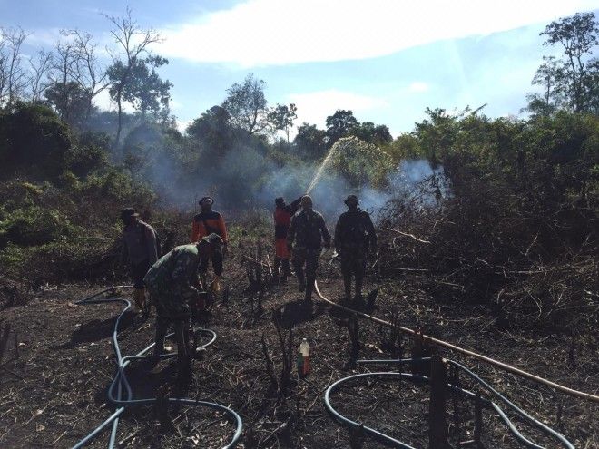 Lokasi lahan yang terbakar