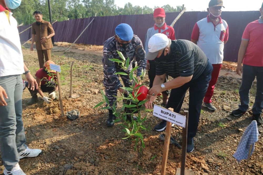 Penanaman Bibit mangrove