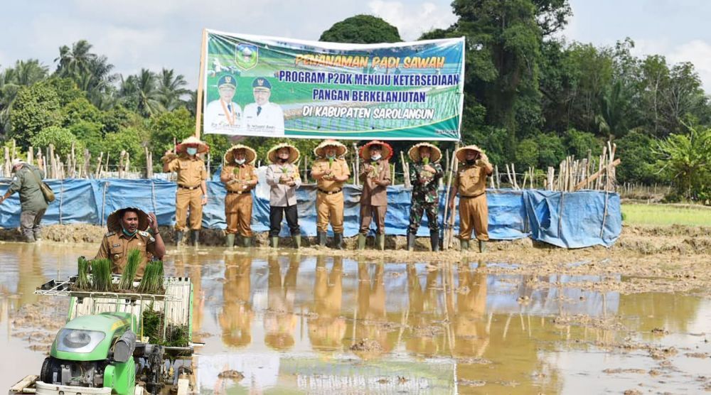 Peluncuran P2DK di areal persawahan kelompok tani Sukajadi di desa Lubuk Resam