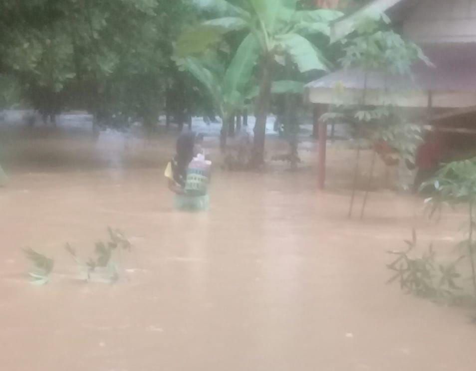 Wilayah Kecamatan Batangasam Tanjabar yang terendam banjir