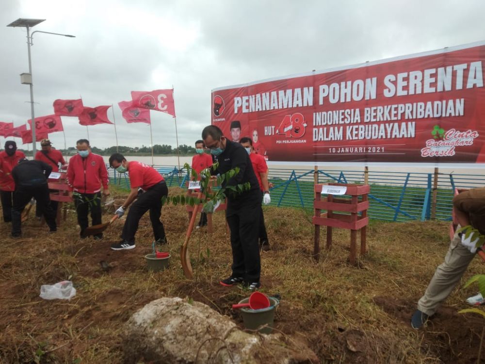 Penanaman pohon oleh PDIp