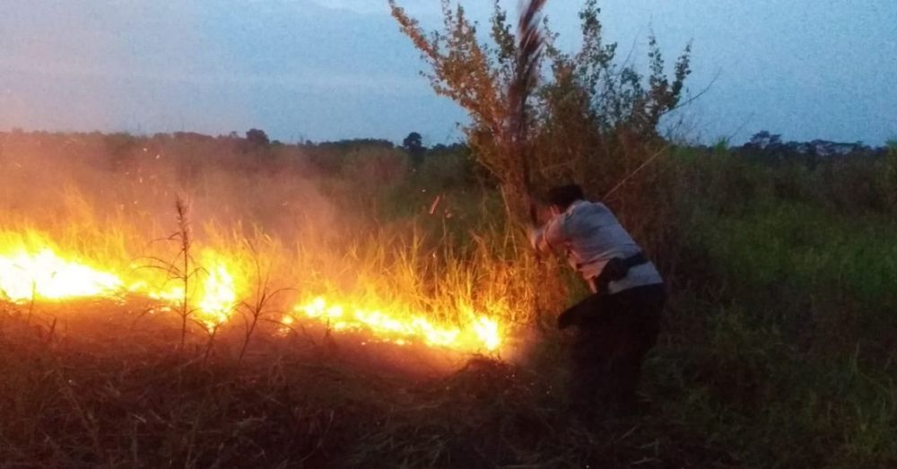 Kapolres Muarojambi turut memadamkan api.