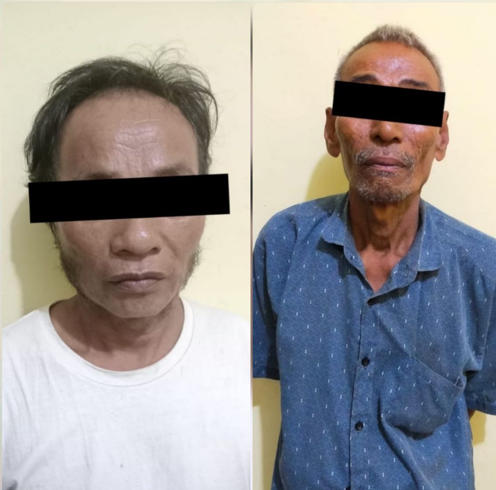Pelaku pencabulan