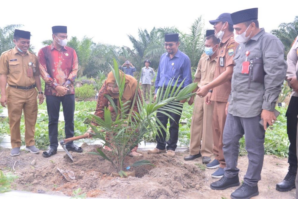 Ketua DPRD Muarojambi mendampingi Bupati melakukan penanaman kepala sawit