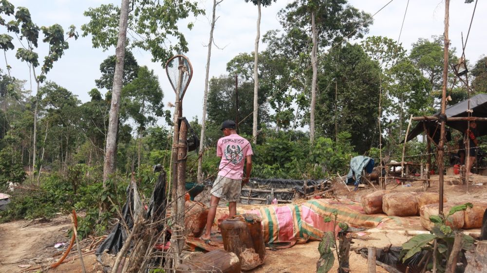 Kegiatan Illegal Driling di KM 52 , Kawasan Hutan Harapan yang diduga kuat memeperalat Orang Rimba sebagai beking