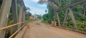 Warga Desa Teluk Kayu Putih Minta Jembatan Batang Bungo Yang Rusak Di Perbaiki 
