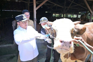 Pemkot Jambi Sembelih 180 Hewan Kurban, Kupon Daging Dibagikan untuk Warga yang Berhak